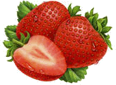 fragole con rugiada.jpg